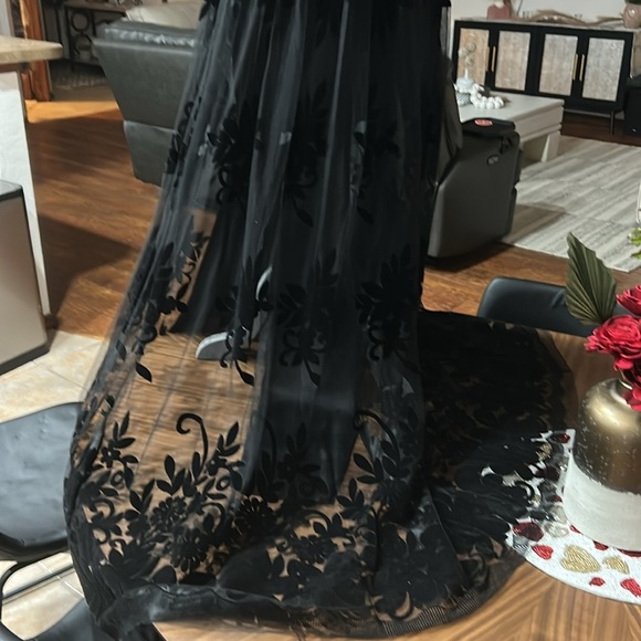 Black Formal/Prom Dress by Windsor. Sz. L Worn once. BUST PROFFESIONALY ALTERED - Picture 7 of 12